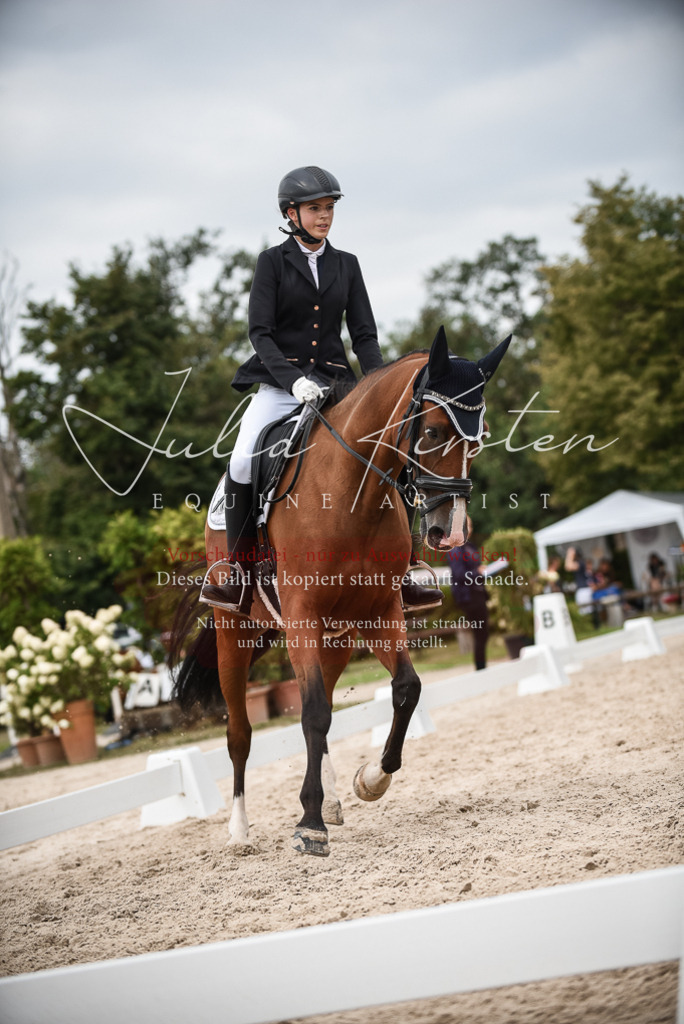 DSC_8431 | Pferde- und Turnierfotografie in Westsachsen. Pferdeportraits, Auftragszeichnungen und intuitive Kunst.