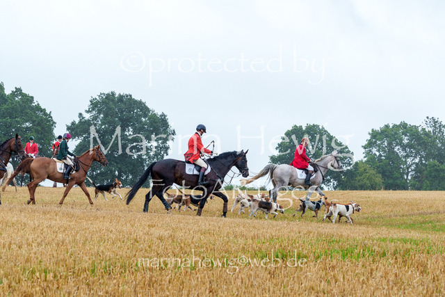 Jagd Kletkamp 26-02817_MarinaHewig | Fotografie, FotoArt, PferdesportArt, Pferdesportfotografie, Landschaftsfotografie, Reisefotografie, Reise, Pferde - Realisiert mit Pictrs.com