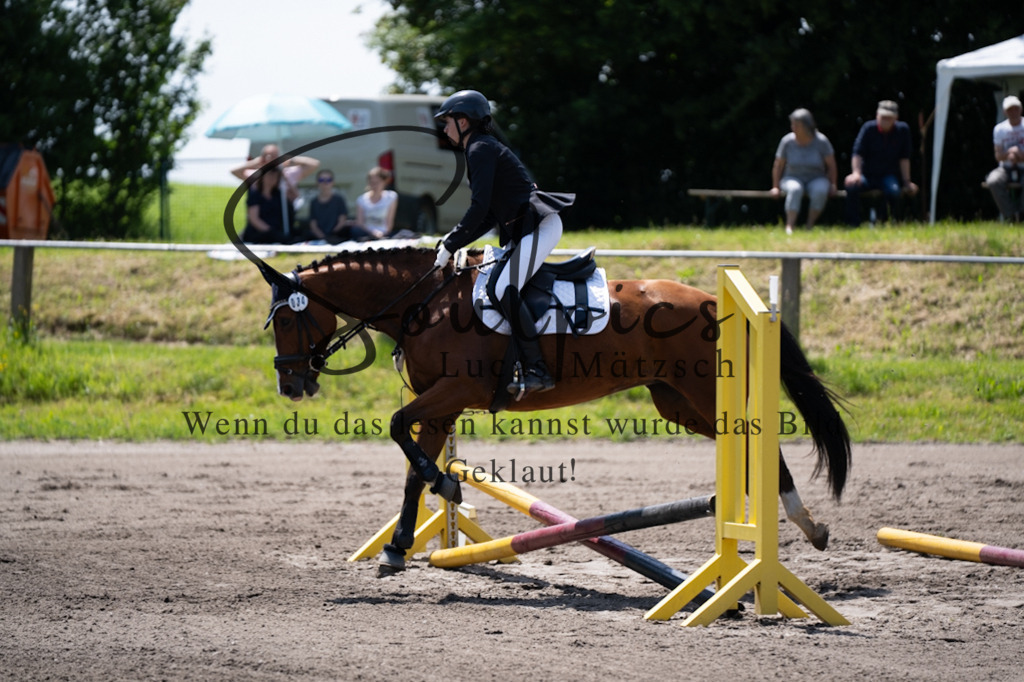 A7V04479 | Pferdefotograf