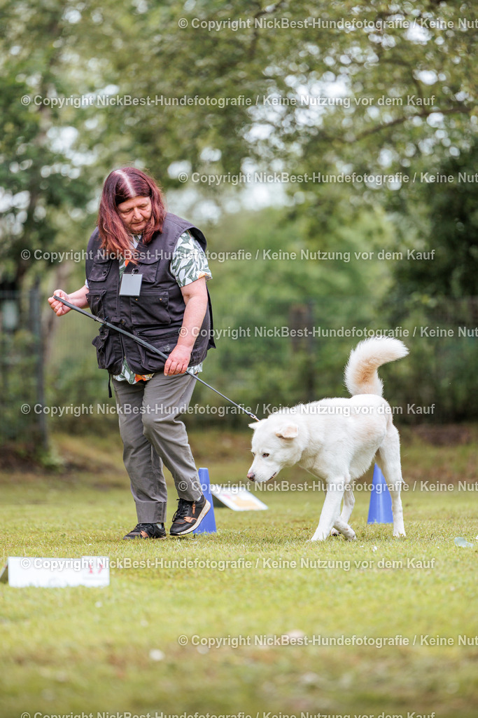 RO-Blumenthal-2026-Nickbest-Hundefotografie-5012 | Dein Hund! Dein Moment! Deine Erinnerungen! Hundefotografie in Bremen Blumenthal. Ich fange die besonderen Momente deines Vierbeiners ein – ob Indoor mit Blitzanlage oder in der freien Natur. Sicher dir dein Moment und dein Termin für eure Erinnerungen.