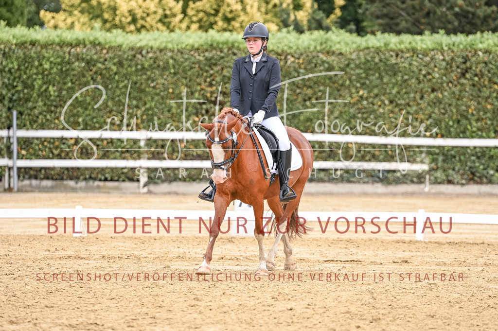 Schugtsche-Aluta25-43.EDressur -136 | Schugtsche Fotografie - Realisiert mit Pictrs.com