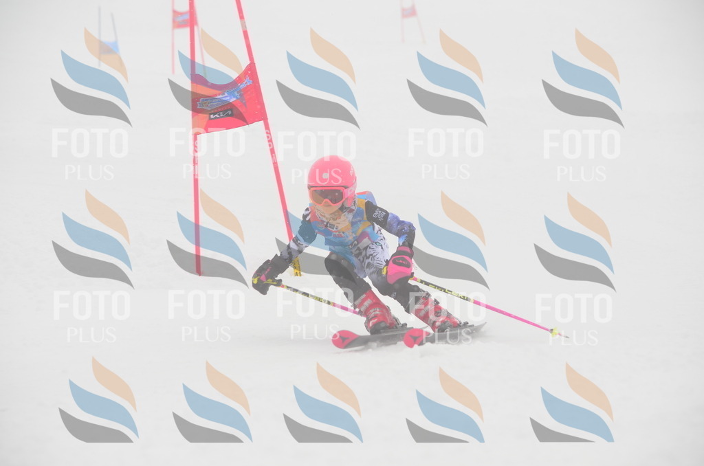 C1240 | holidayphoto