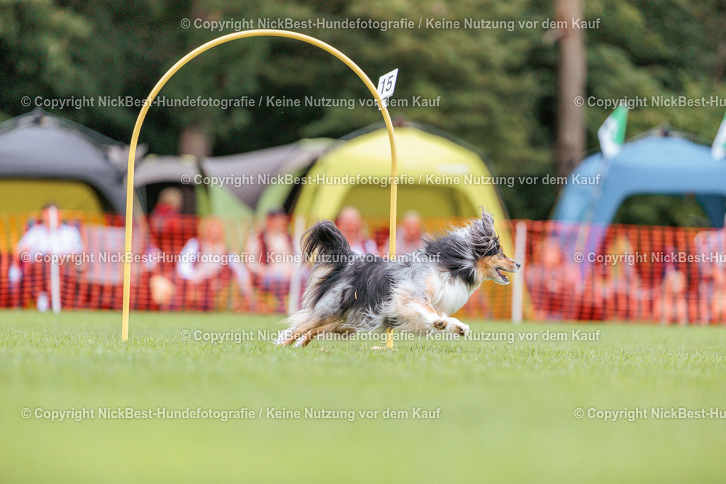 BSP Hoopers-H2 Tag2-2026-Nickbest-Hundefotografie-TuS Komet Arsten e.V.-4540 | Dein Hund! Dein Moment! Deine Erinnerungen! Hundefotografie in Bremen Blumenthal. Ich fange die besonderen Momente deines Vierbeiners ein – ob Indoor mit Blitzanlage oder in der freien Natur. Sicher dir dein Moment und dein Termin für eure Erinnerungen.