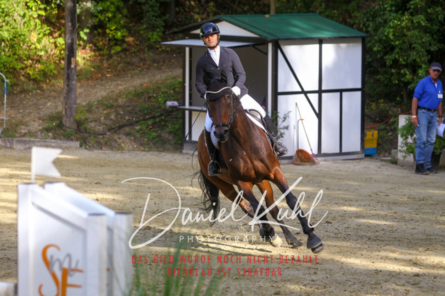 DKP42454 | Turniersportfotografie; Pferdefotografie; Dressurfotografie