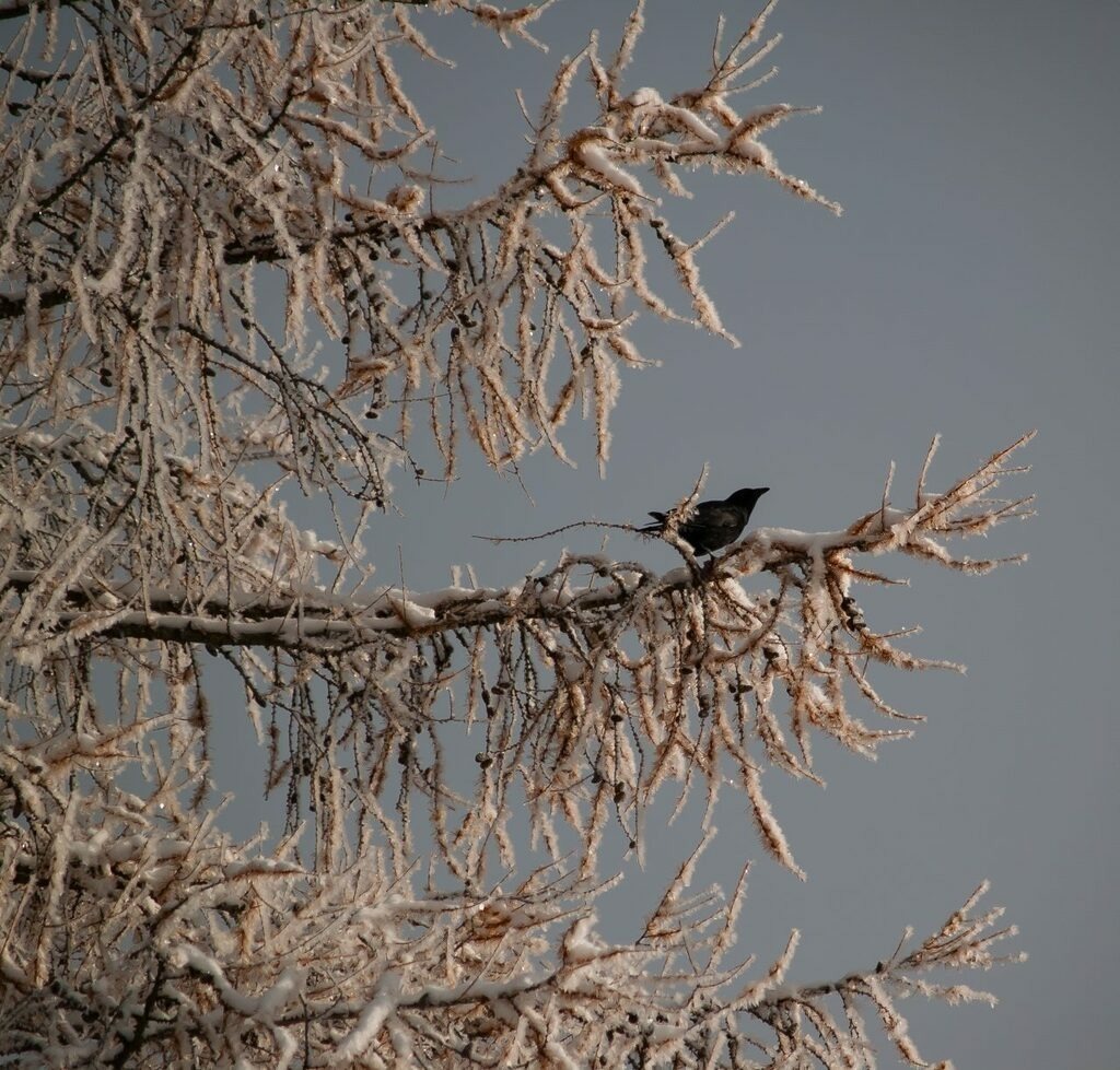 PSX_20221213_224839 | mtkfoto_ - Realisiert mit Pictrs.com