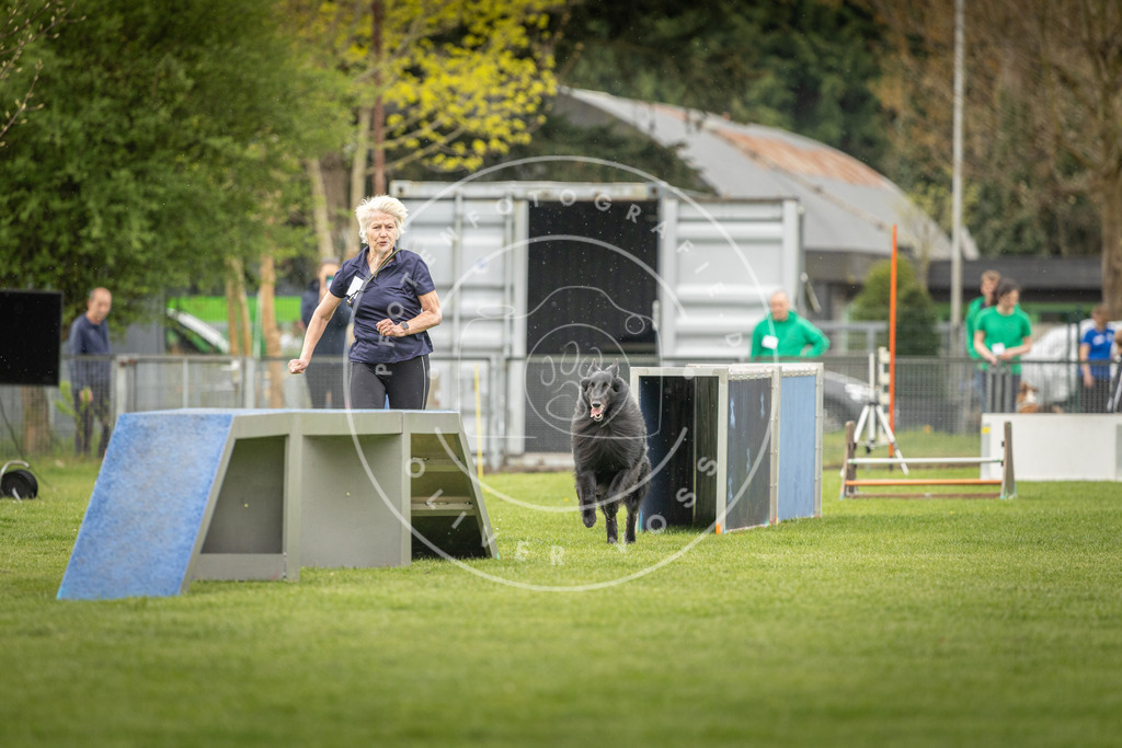 Pfotenfotografie_DV3A2775 | Hundefotografie, Tierfotograf, Pfotenfotografie, Fotoshooting Hund, Hunde Portrait, Hundesport, Hundeportraits, Heideshooting, Hunde, Sportfotograf, Hundefotograf, Turnierhundsport, THS,  - Realisiert mit Pictrs.com