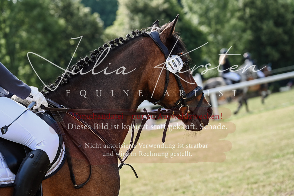 DSC_8010 | Pferde- und Turnierfotografie in Westsachsen. Pferdeportraits, Auftragszeichnungen und intuitive Kunst.