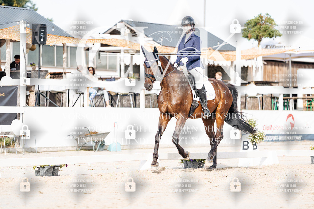 CK905073 | Turnierfotografie Pferdefotografie Trier Rheinland-Pfalz Pferdesport Reitsport Tierfotografie Sportfotografie Pferdevideo Pferdevideografie Equestrianvideography equestrianphotography  - Realisiert mit Pictrs.com