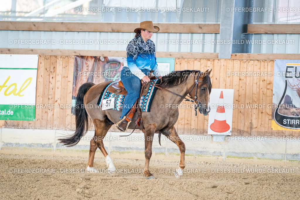 DSC01717 | Pferdegrafie