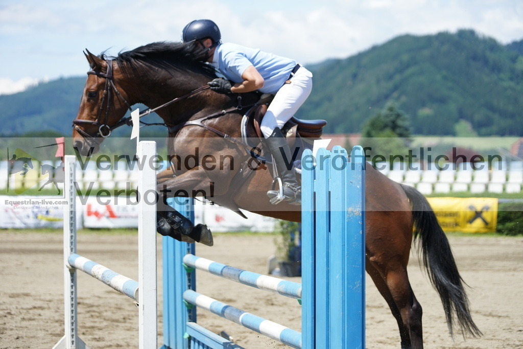 DSC06156 | equestrian-live-com