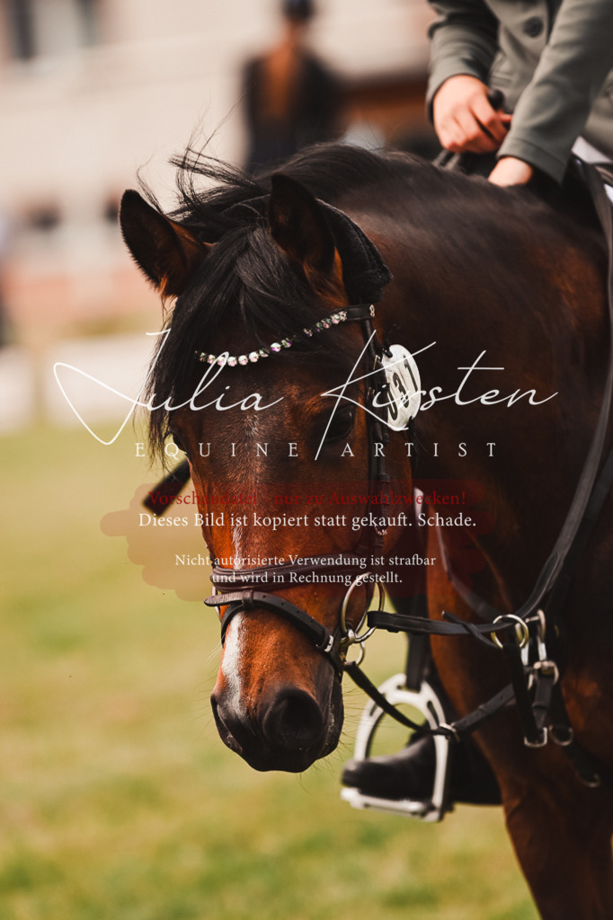 DSC_6941 | Pferde- und Turnierfotografie in Westsachsen. Pferdeportraits, Auftragszeichnungen und intuitive Kunst.