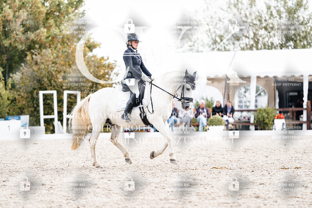 CK901575 | Turnierfotografie Pferdefotografie Trier Rheinland-Pfalz Pferdesport Reitsport Tierfotografie Sportfotografie Pferdevideo Pferdevideografie Equestrianvideography equestrianphotography  - Realisiert mit Pictrs.com