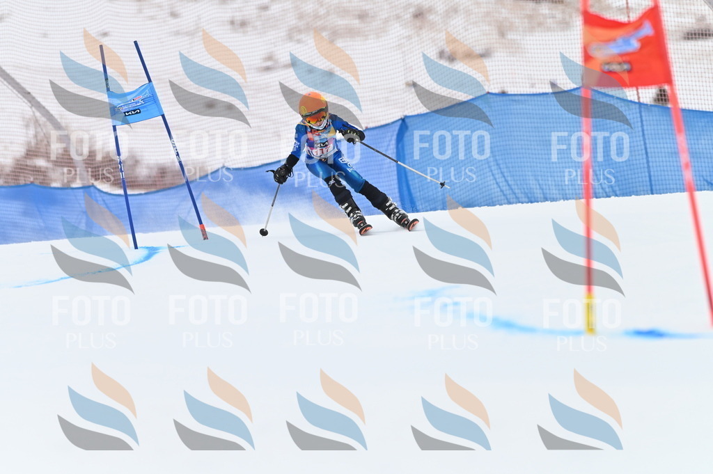 BGV_9691 | holidayphoto