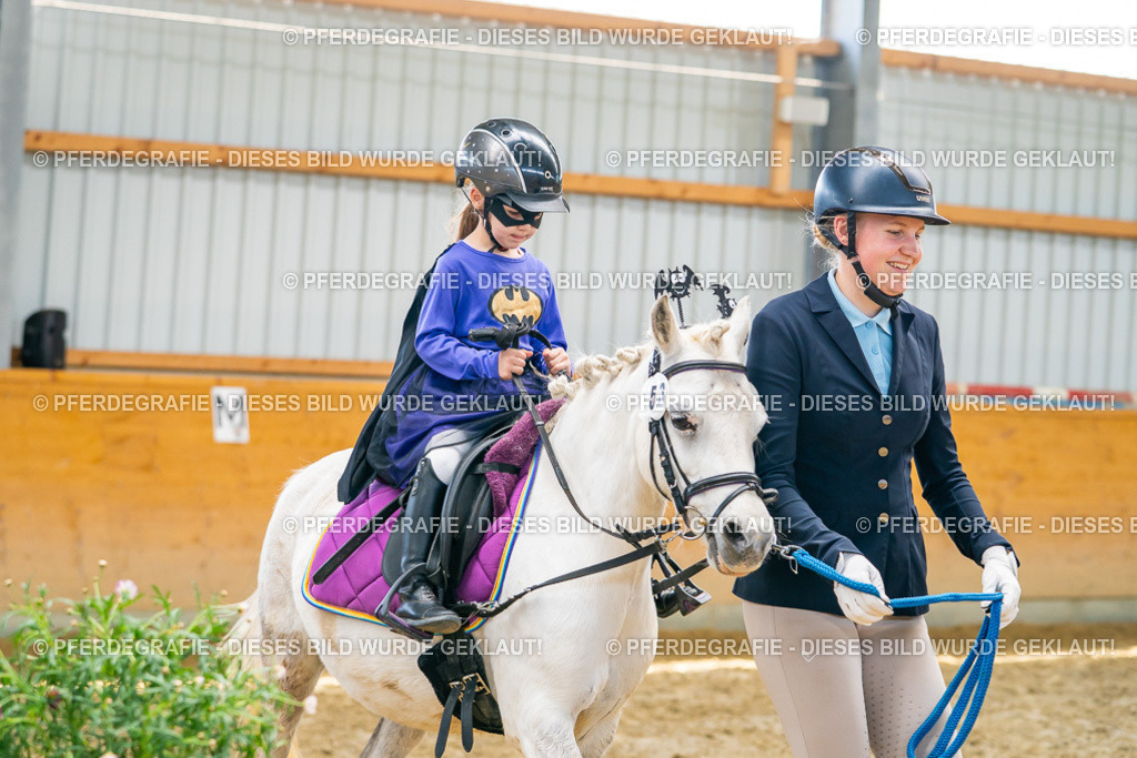 DSC09984 | Pferdegrafie