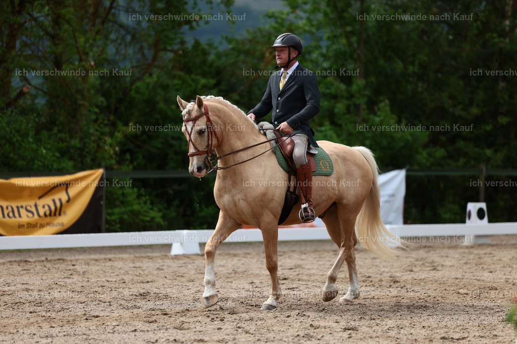 KlasseL_Stoibphotography_CAM21600.JPG | working equitationturnier fotograf videograf stoibphotography marixx film working equitation deutschland reitsport turnierfotografie eventfotografie equestrian events