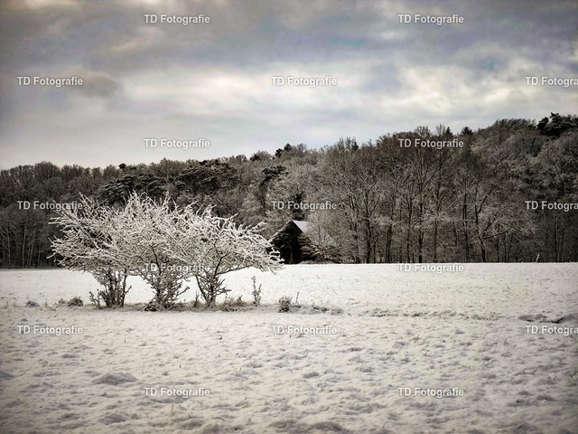winterlandschaft-090829 | Fotogalerie von Thomas Dettweiler mit Eventbildern und lizenzfreien Fotos. Perfekt als Wandbild, für Büro, Website oder private Nutzung. - Realisiert mit Pictrs.com