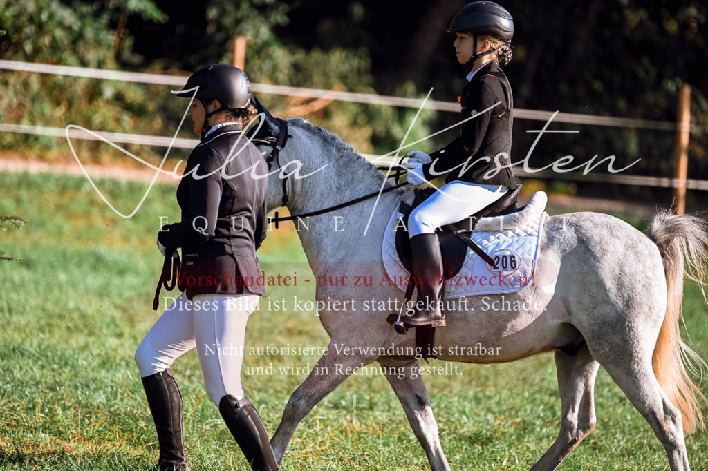 DSC_0441 | Pferde- und Turnierfotografie in Westsachsen. Pferdeportraits, Auftragszeichnungen und intuitive Kunst.