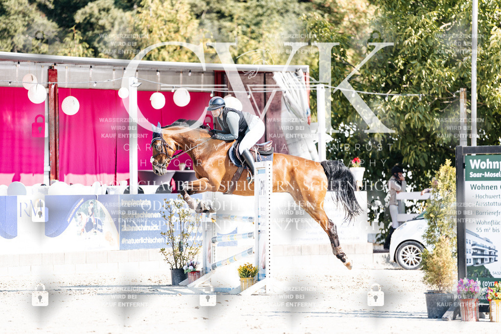 CK902315 | Turnierfotografie Pferdefotografie Trier Rheinland-Pfalz Pferdesport Reitsport Tierfotografie Sportfotografie Pferdevideo Pferdevideografie Equestrianvideography equestrianphotography  - Realisiert mit Pictrs.com