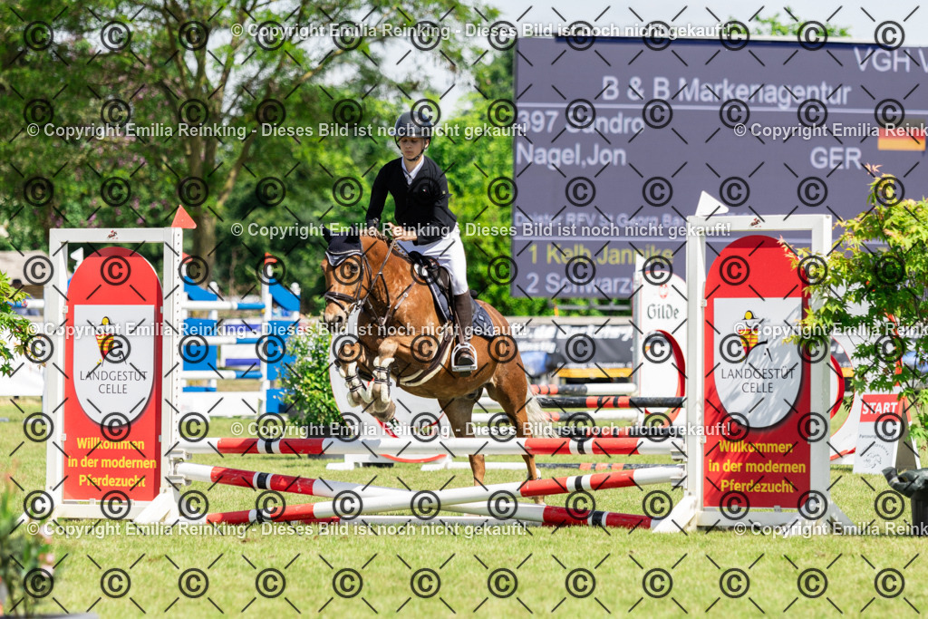 CL5A0097 | Emilia Reinking Fotografie - Realisiert mit Pictrs.com