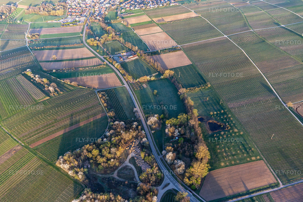 Sportplatz des SV Klingenmünster im Klingbachtal in der Frühjahrsblüte | Luftbild: Sportplatz des SV Klingenmünster im Klingbachtal in der Frühjahrsblüte in Klingenmünster im Bundesland Rheinland-Pfalz in Deutschland. Foto: IMG_126219.jpg vom 04.04.2021 durch ©2025 Werner Riehm fly-foto.de/copyright - Realisiert mit Pictrs.com