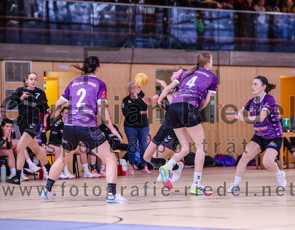 2024-12-14_098_SpVgg_Altenerding_gegen_SVA_Palzing | Erding, Deutschland, 14.12.2024:Handball, Bezirksoberliga Frauen Altbayern 2024 / 2024, 9. Spieltag, SpVgg Altenerding gegen SVA Palzing, Endergebnis: 20:30Janina Konrad (SpVgg Altenerding, #2), Sandra Redl (SVA Palzing, #12), Greta Felbinger (SpVgg Altenerding, #4), Katharina Künstner (SpVgg Altenerding, #23)Foto: Christian Riedel / fotografie-riedel.net