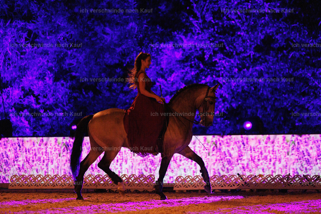 FHClassics-321 | working equitationturnier fotograf videograf stoibphotography marixx film working equitation deutschland reitsport turnierfotografie eventfotografie equestrian events