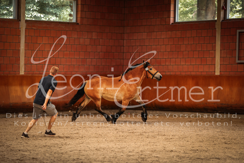 SaFL00109 | Leoni Ertmer Photography - Realisiert mit Pictrs.com