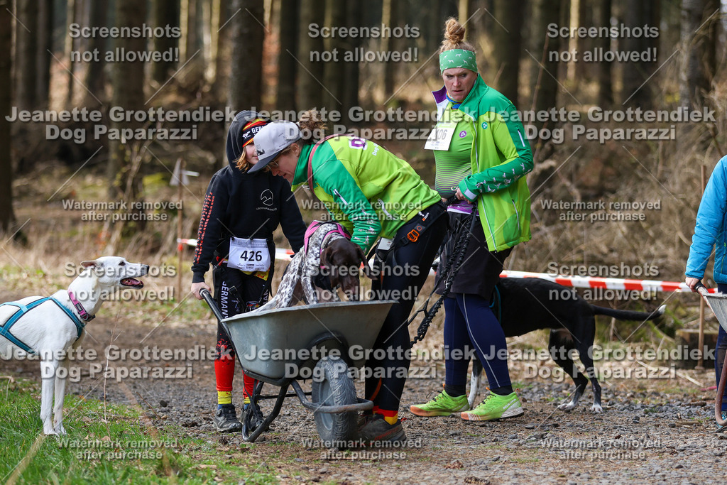 Dog Paparazzi - VCC26-649 | Dog Paparazzi Jeanette Grottendiek Fotografie & Videografie - Realisiert mit Pictrs.com