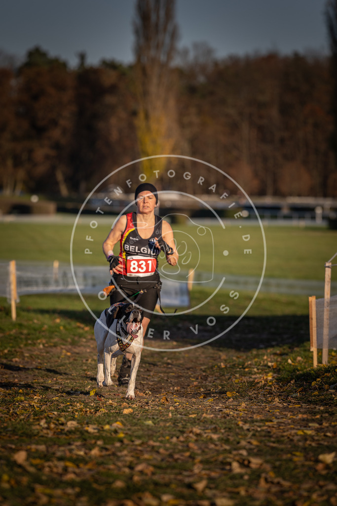 CaniXpix_DV3A3421 | Hundefotografie, Tierfotograf, Pfotenfotografie, Fotoshooting Hund, Hunde Portrait, Hundesport, Hundeportraits, Heideshooting, Hunde, Sportfotograf, Hundefotograf, Turnierhundsport, THS,  - Realisiert mit Pictrs.com