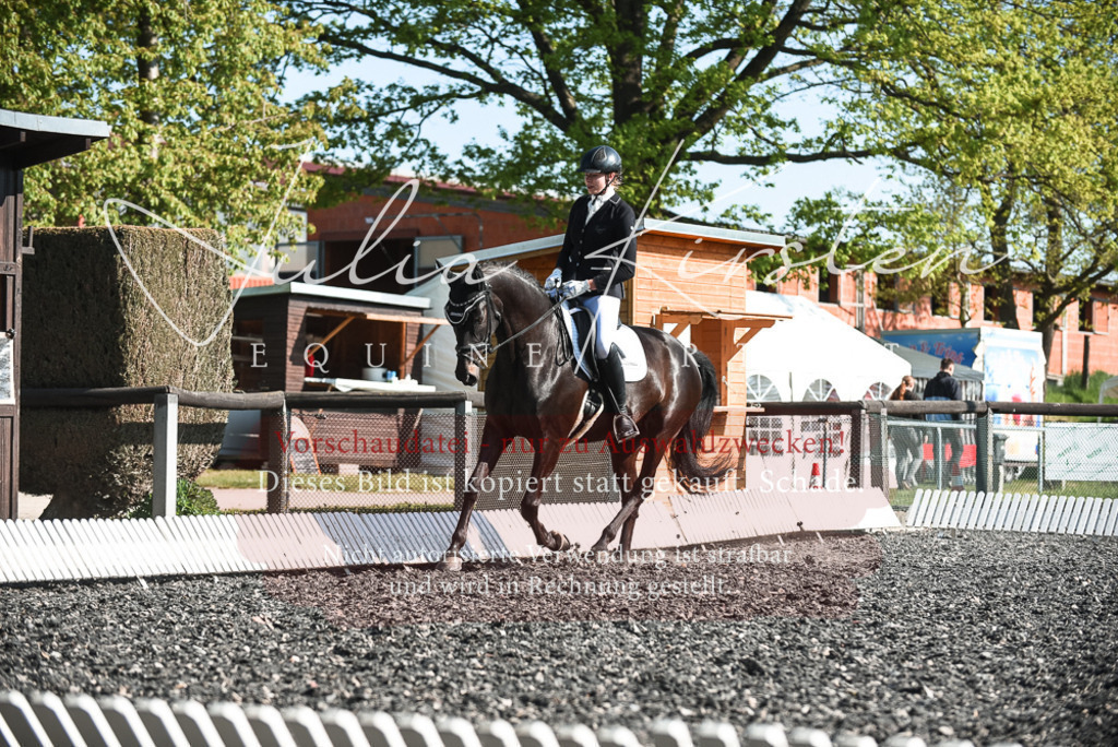 DSC_8383 | Pferde- und Turnierfotografie in Westsachsen. Pferdeportraits, Auftragszeichnungen und intuitive Kunst.