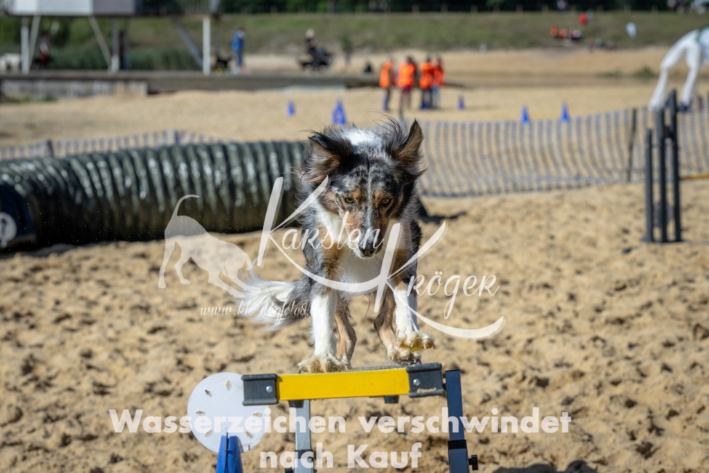 1312_ZZ94095-2 | kk-dogfotos