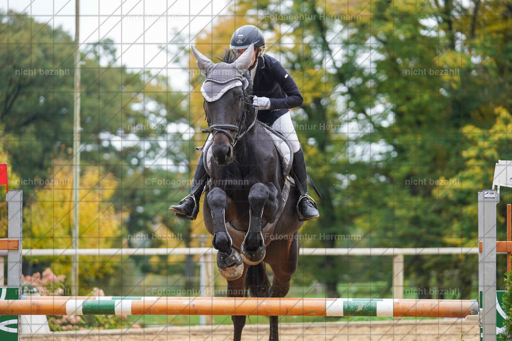 20221009-FAH08913 | Diessen am Ammersee, 2022, Dressur- und Springturnier, Reitsportbilder, Turnierfotografen Bayern, Pferdefotografen, Fotoagentur Herrmann, Turnierbilder
