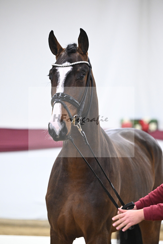 Kat-Nr. 124 Global Player x Floriscount_Christian Wittlinger_47254128 | hf-fotografie - Realisiert mit Pictrs.com