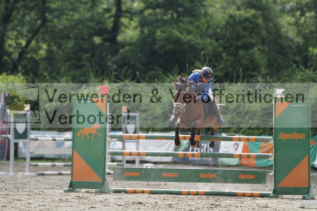 _MG_9817 | equestrian-live-com
