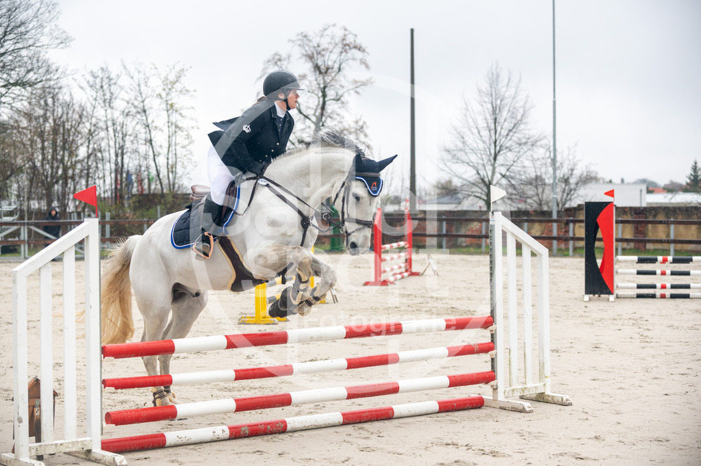 DSC_8269 | sattelsport - Realisiert mit Pictrs.com