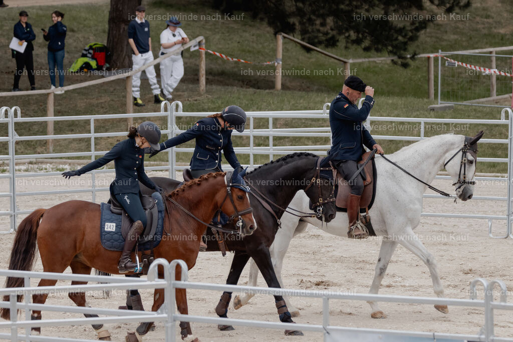 WE__Stoib_Rinder_PI2025_2998 | Pferd International München 2025