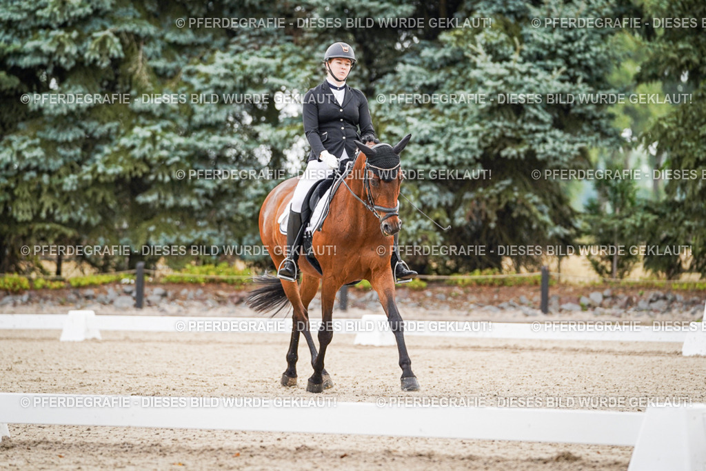 DSC01098 | Pferdegrafie