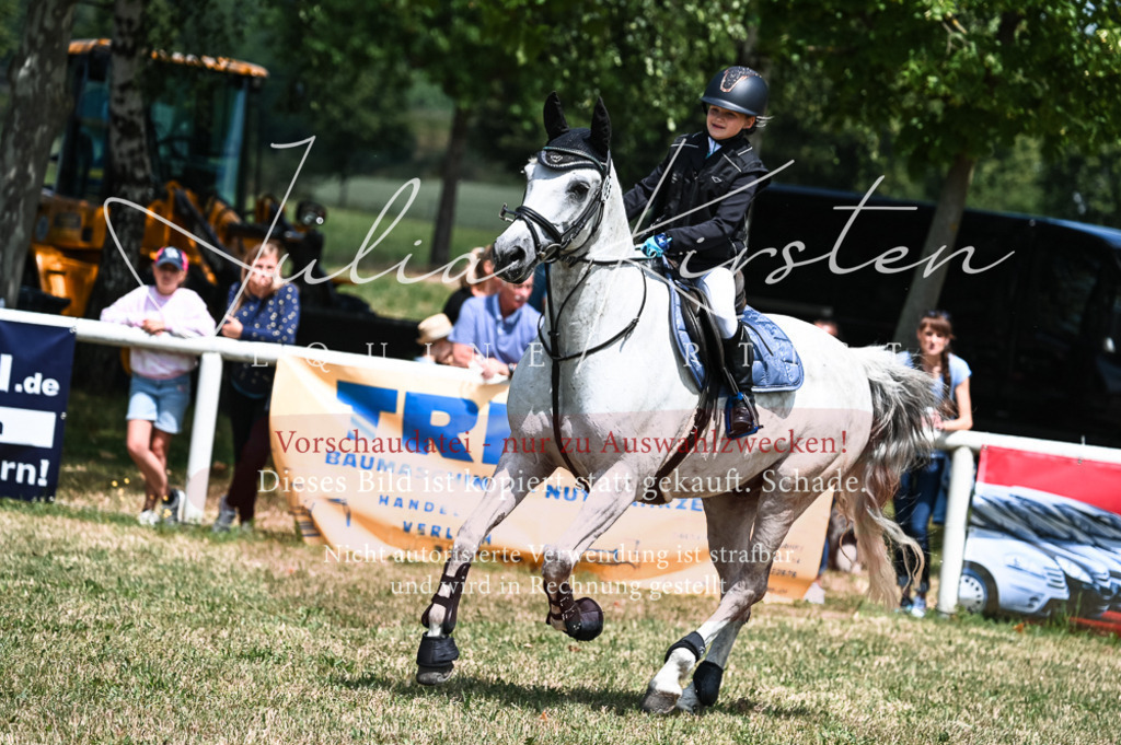 DSC_9820 | Pferde- und Turnierfotografie in Westsachsen. Pferdeportraits, Auftragszeichnungen und intuitive Kunst.