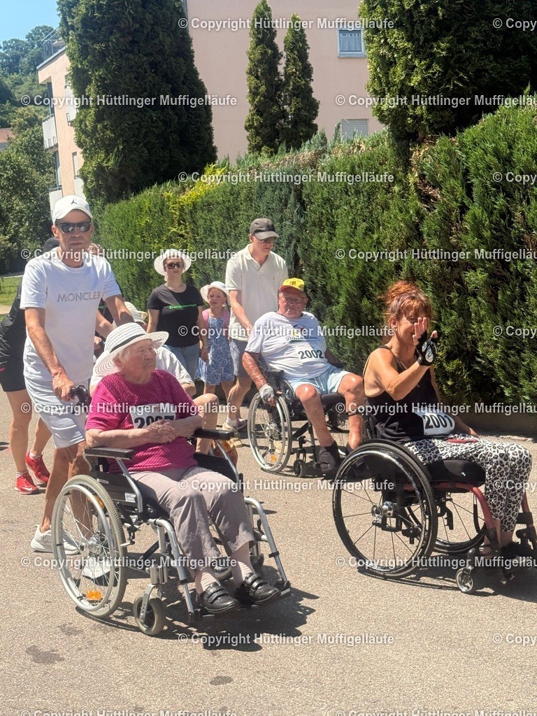 IMG_1664 | Hüttlinger Muffigelläufe - Realisiert mit Pictrs.com