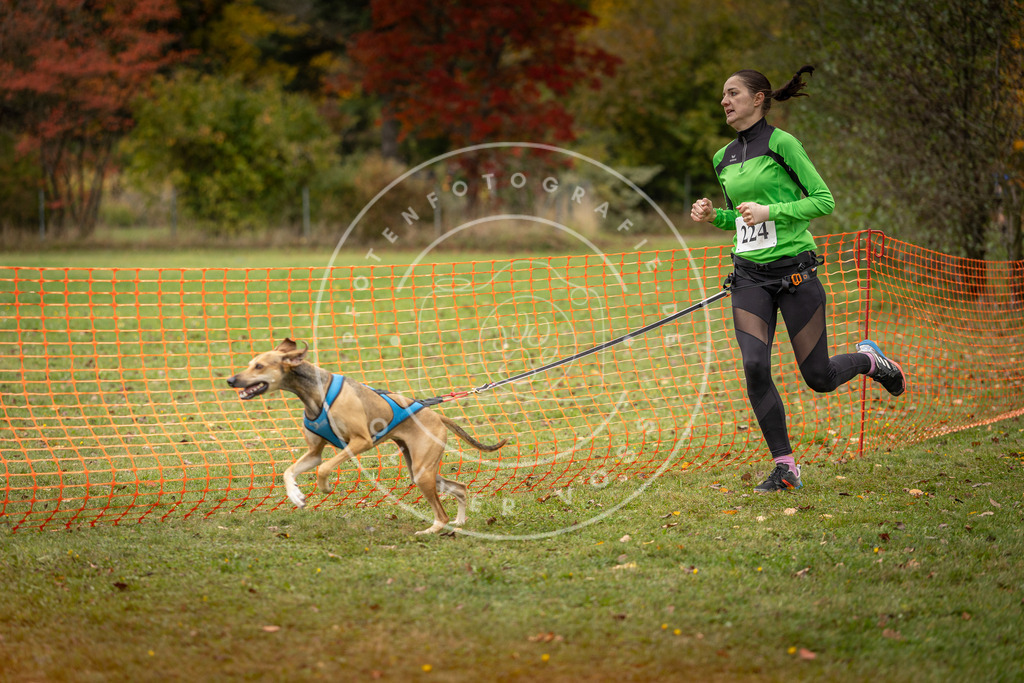 Pfotenfotografie_DV3A4605 | Hundefotografie, Tierfotograf, Pfotenfotografie, Fotoshooting Hund, Hunde Portrait, Hundesport, Hundeportraits, Heideshooting, Hunde, Sportfotograf, Hundefotograf, Turnierhundsport, THS,  - Realisiert mit Pictrs.com