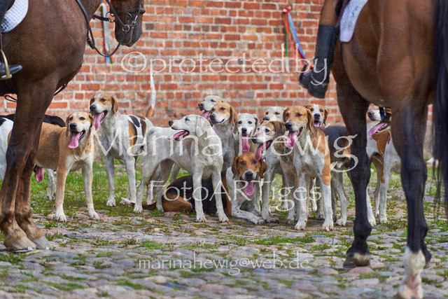 _MCH8522_Marina Hewig | Fotografie, FotoArt, PferdesportArt, Pferdesportfotografie, Landschaftsfotografie, Reisefotografie, Reise, Pferde - Realisiert mit Pictrs.com