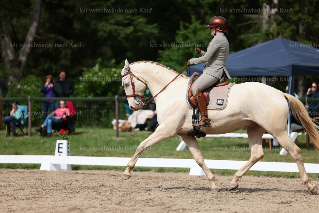 Masterclass_stoibphotography_C2_L5022.JPG | working equitationturnier fotograf videograf stoibphotography marixx film working equitation deutschland reitsport turnierfotografie eventfotografie equestrian events