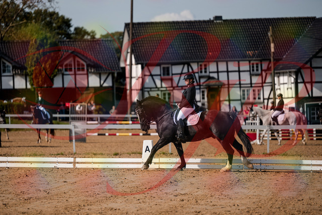 2026_10_03_Siefer-Hof_120757_Z63_37005956 | Professionelle Reitsport-, Turnier- und Eventfotografie von Robert Broda. Galerien mit ausgewählten und bearbeiteten Bildern direkt online ansehen und bestellen.