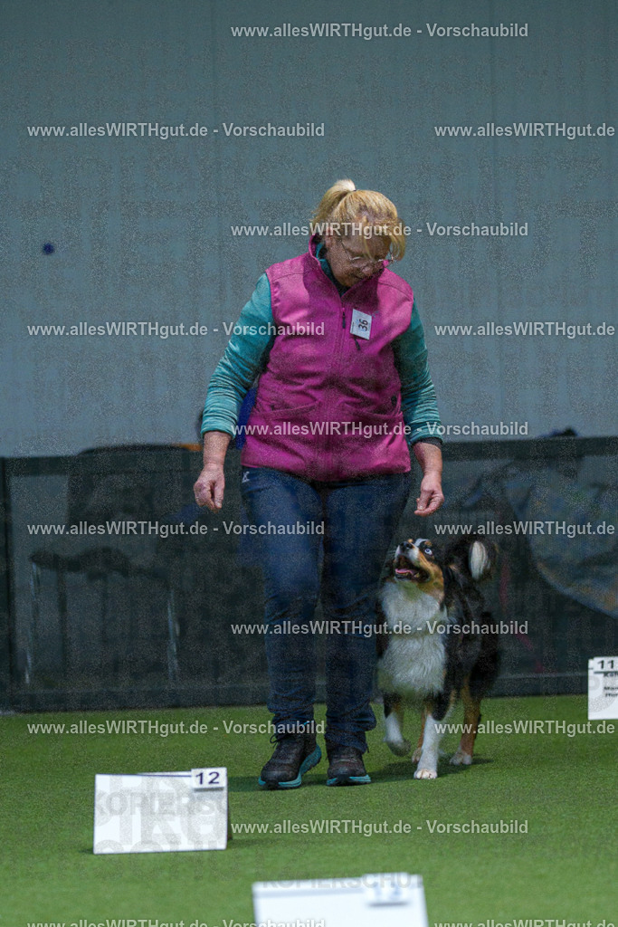 7R501092 | Professionelle Tierfotografie in Mönchengladbach von Daniel Wirth (allesWIRTHgut). Liebevolle & natürliche Bilder von Hunden & Katzen für unvergessliche Erinnerungen.