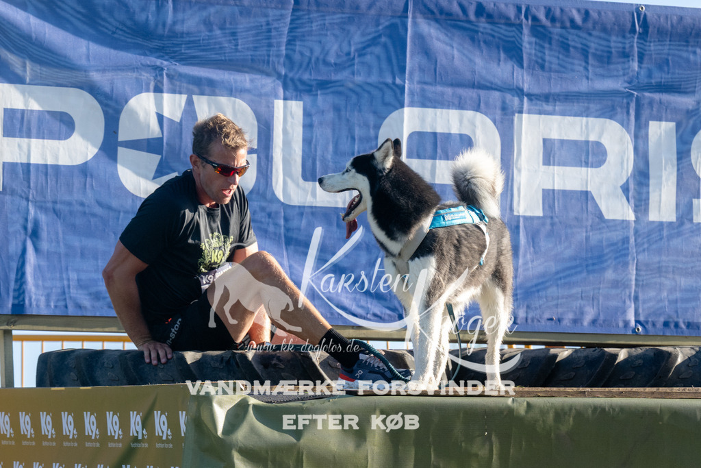 0815_ZZ92950 | kk-dogfotos