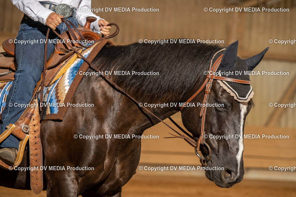 NID03695 | dv-media-shop - Realisiert mit Pictrs.com