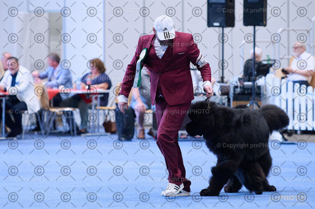 202406_ÖKV-IHA-Tulln24_DSC_3831 | proPHOTO - Realisiert mit Pictrs.com