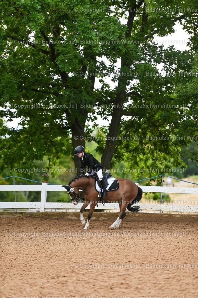 20230716_10-2_Reiter-WB Schritt - Trab - Galopp_0141 | equistock