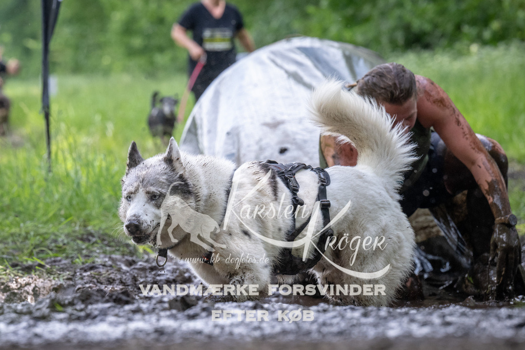 1239_ZZ92846 | kk-dogfotos