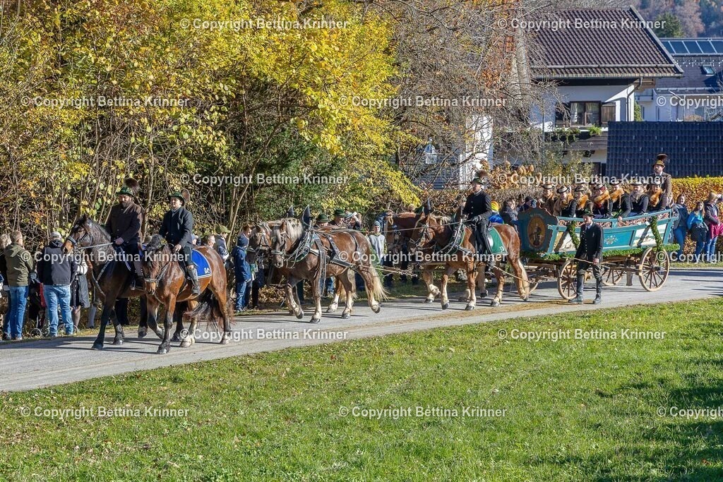 LBT25-527 | foto-bettina-krinner - Realisiert mit Pictrs.com